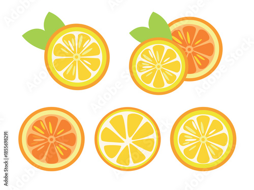 Set of Oranges. Vector illustration for summer