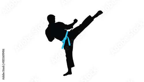 Karate Man Kicking High with Blue Belt Silhouette