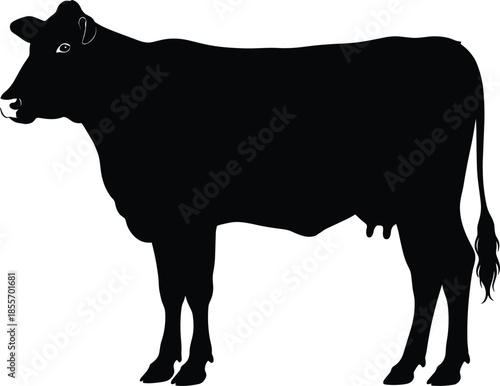 Black cow silhouette vector illustration standing isolated for farm agriculture livestock branding and rural design use
