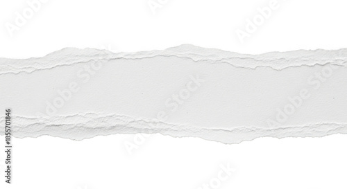Torn paper edge isolated on transparent background