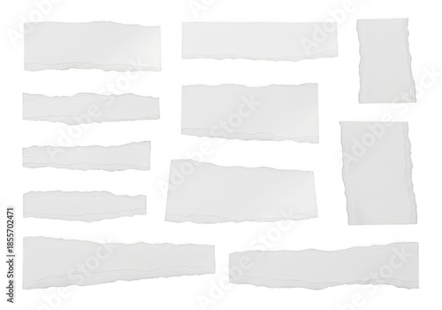 Collection of torn paper strips isolated on transparent background
