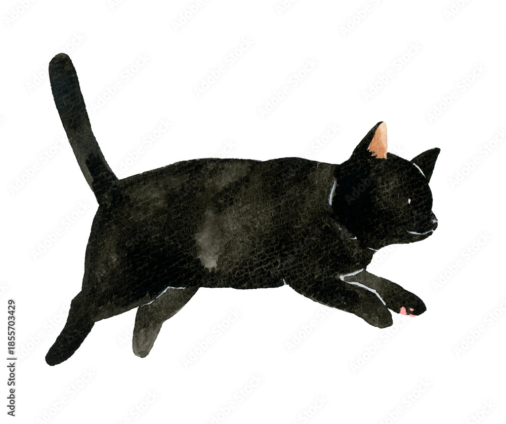 Obraz premium ジャンプしている黒猫 ペット・動物の手描き水彩イラスト素材