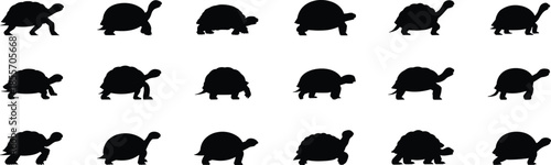 Tortoise silhouette collection, reptile animal shapes, cad drawing flat vector illustration, wildlife icon set, turtle shell design variations, nature art