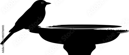 Silhouette of a Bird Resting on a Bird Bath in stark contrast
