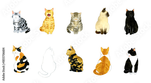 座るかわいい猫のセット　ペット・動物の手描き水彩イラスト素材集