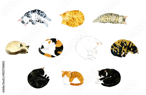 寝ているかわいい猫のセット　ペット・動物の手描き水彩イラスト素材集