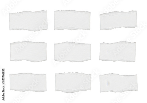 Collection of torn paper pieces isolated on transparent background