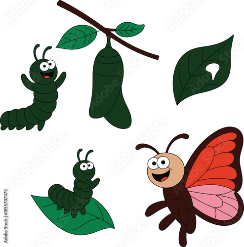 Butterfly life cycle set with cute caterpillar characters, green cocoon on branch, chewed leaves, and colorful monarch butterfly vector illustrations.