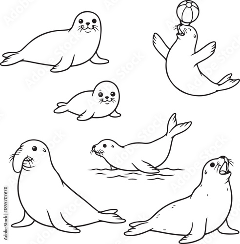 Variety of cute and playful seal illustrations for coloring pages or design elements