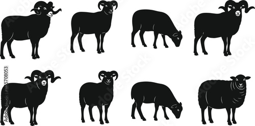 Sheep and Ram Silhouette Collection, Farm Animal and Livestock, Ewe, Lamb, and Bighorn Sheep Icon Set, Agriculture, Meat, and Wool Symbol, Vector Design