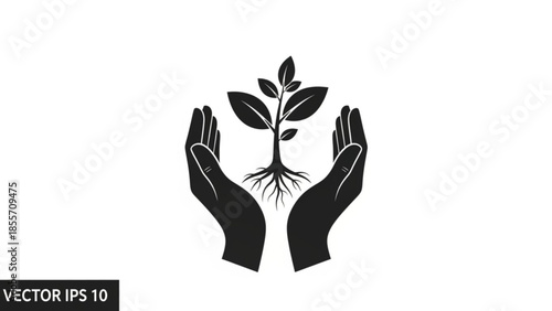 Hands cradling a growing plant with roots and leaves