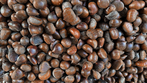Fresh Chestnuts Piled at Market Stall