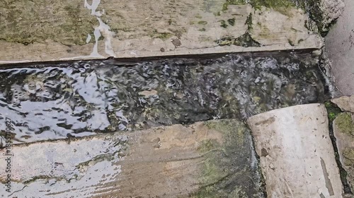 Water flowing through a moss-covered concrete channel, showing the movement and texture of the stream. Flowing water coming out from a pipe, showing continuous motion video