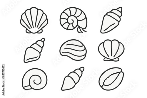 Collection of nine minimalist shell icons on a grey background