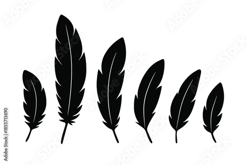 Black feathers casting shadows on a gradient background