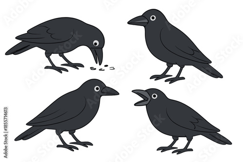 Four cartoon crows in different poses on a black background