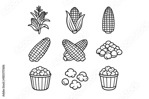 Corn Illustrations