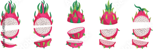 Fresh dragon fruit set with pink pitaya halves, sliced exotic tropical fruits, organic summer food ingredients, isolated vector cactus fruit illustrations.