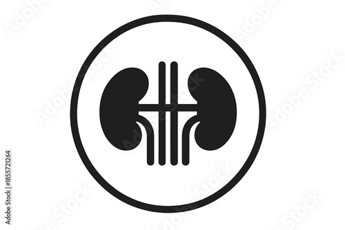 Human Kidneys Medical Icon