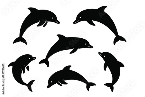 Silhouettes of Dolphins Swimming in Circle on Dark Background