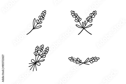 Hand-drawn lavender sprigs and bouquets with a bow