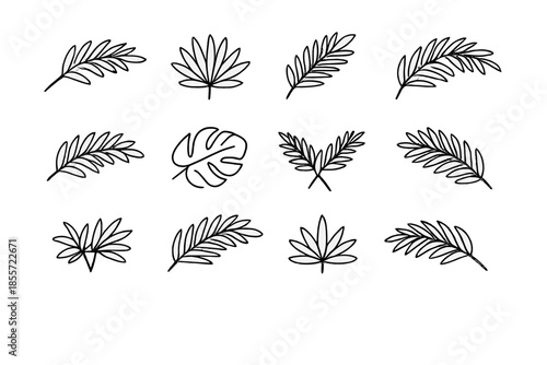 Tropical leaves collection