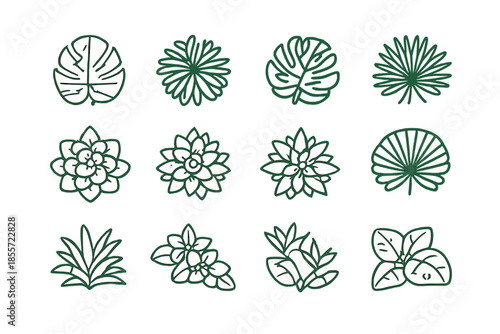 Botanical icons in a clean white outline on a gradient background.