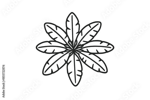 Leafy Mandala Graphic