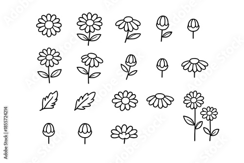 Set of hand-drawn daisy icons on a dark gradient background
