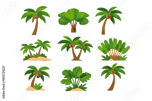Tropical Island Palms Collection
