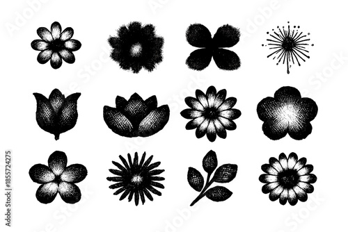 Collection of Twelve Abstract Black and White Floral Designs