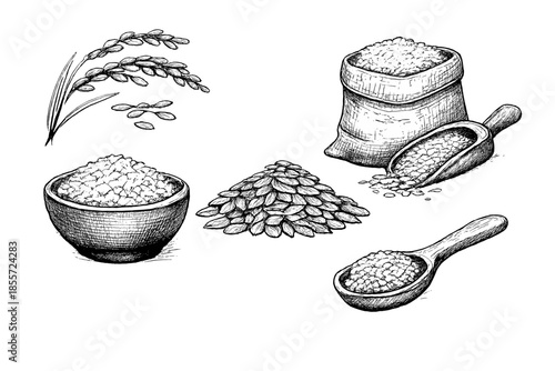 Hand-drawn rice elements in black and white