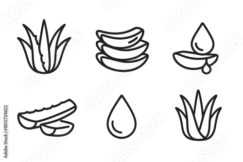 Aloe Vera Icons Set on Dark Background