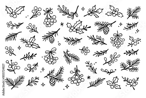 Christmas botanical elements with berries and pine cones