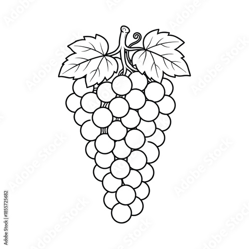 Grape Bunch Line Art Illustration