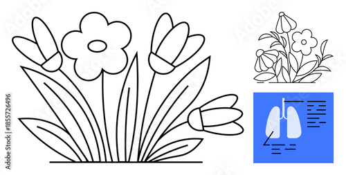 Health awareness, environment, ecology balance, floral , biology education, medical research. Black-and-white flower outlines and lungs diagram. Health awareness and environment concept