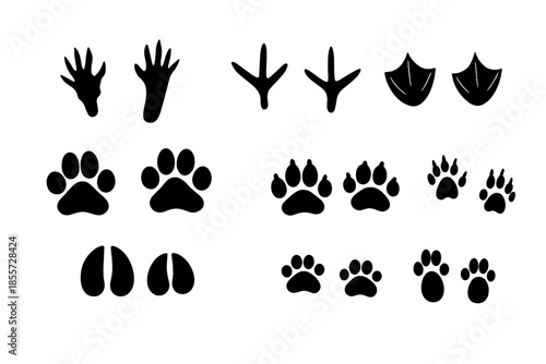 Animal Footprints Icons Collection