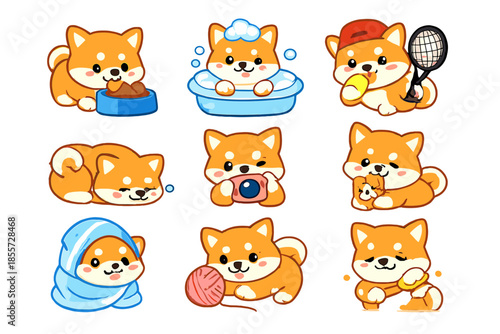 Cute Shiba Inu Dogs in Various Activities