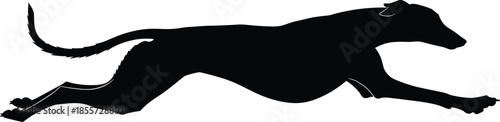 Black silhouette of greyhound dog running at full speed, fast racing hound in motion, athletic canine pet, hunting, sighthound, sprint
