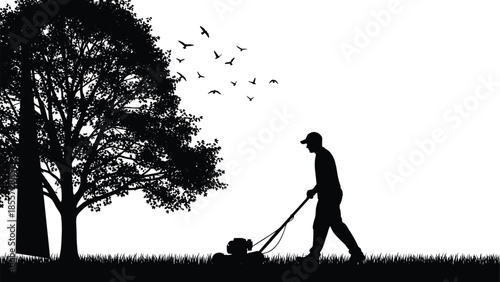 Black silhouette of man mowing lawn with lawnmower under large tree, garden maintenance, landscaping service, backyard summer work, nature, outdoors