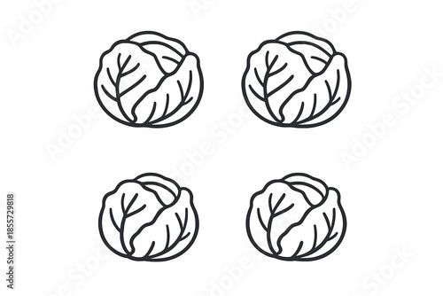 Four Cabbages on a Gradient Background