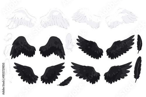 Angel and Demon Wings Collection