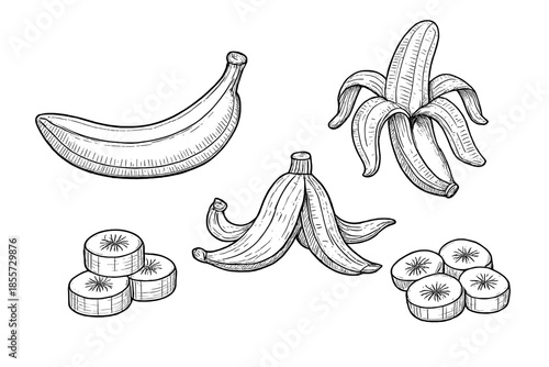 Banana Illustrations