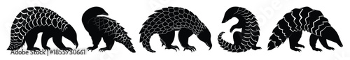pangolin animal silhouette bundle