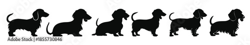  set of dachshund dog silhouettes vector collection