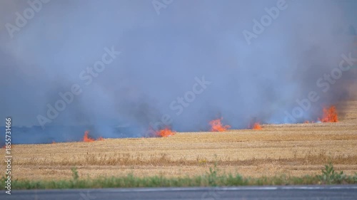 a fire, a field of ripe wheat is on fire, large clouds of smoke rise to the sky