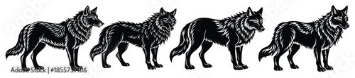 set of wolf animal silhouette on white background