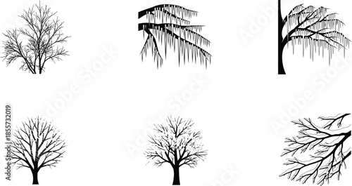Collection of different bare trees silhouettes