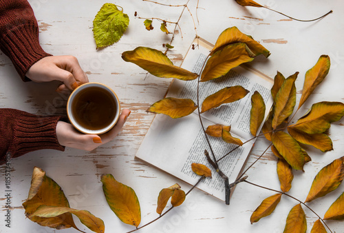 Woman hands with sweater holding cup of tea and open book with dry fallen leaf on retro wooden desk. Autumn concept. Close up, selective focus