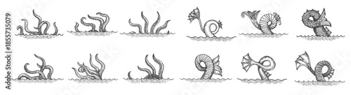  sketch octopus tentacles monster kraken tail palps